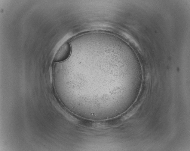 X0000074311275200609081933