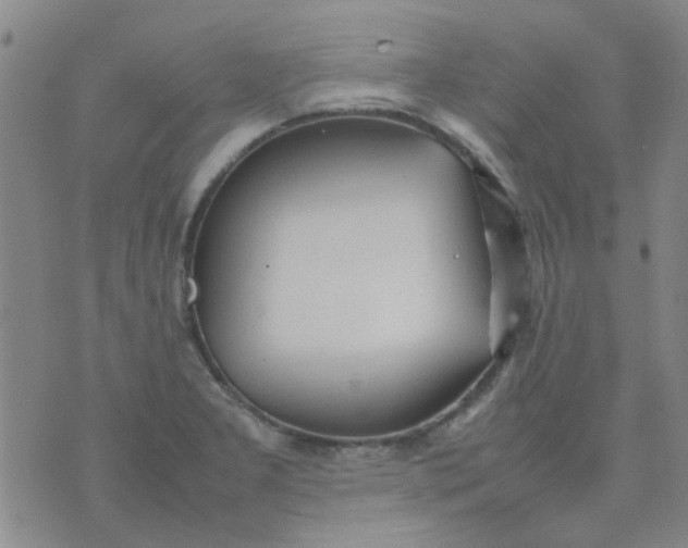 X0000074311277200609081933