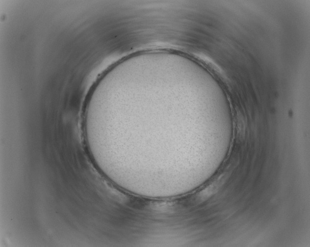 X0000074311278200609081933