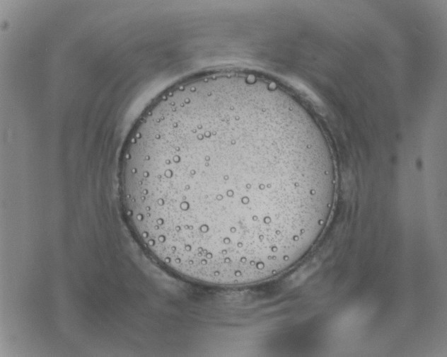 X0000074311279200609081933