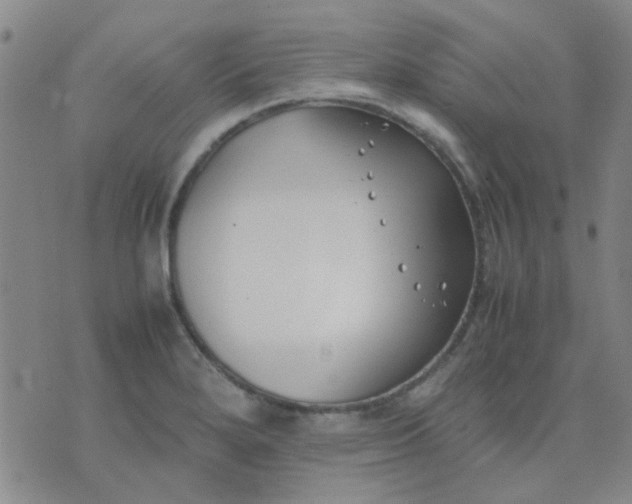 X0000074311280200609081933