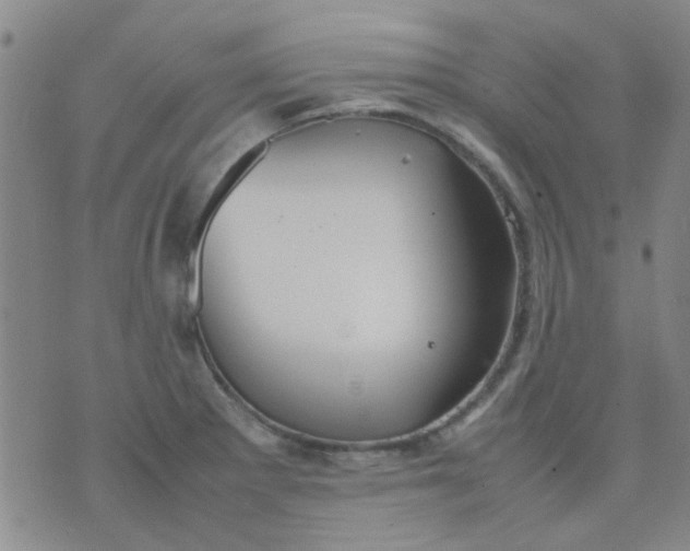 X0000074311281200609081933