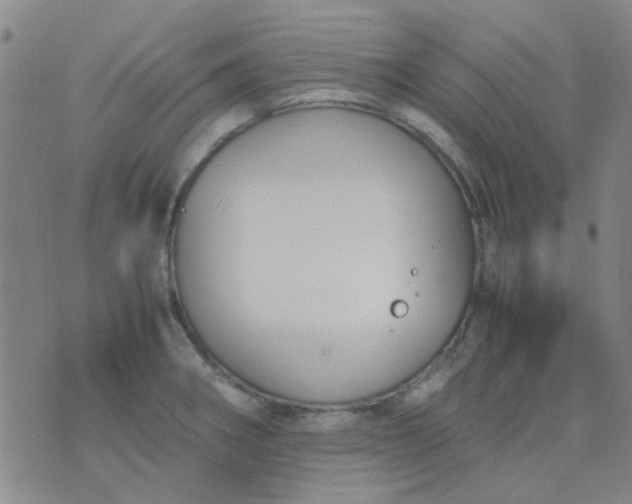 X0000074311282200609081933