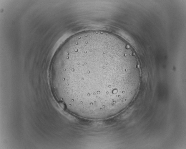 X0000074311283200609081933