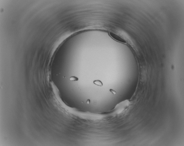 X0000074311284200609081933