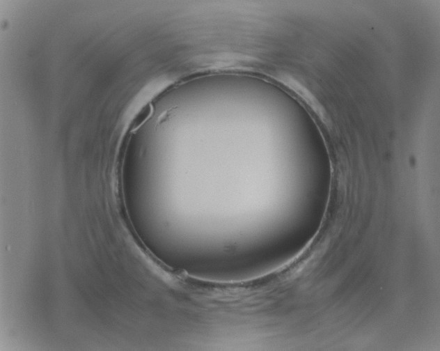 X0000074311285200609081933