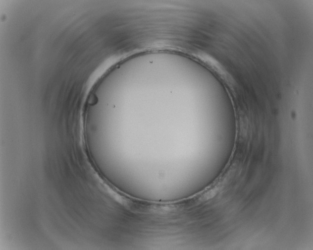 X0000074311286200609081933