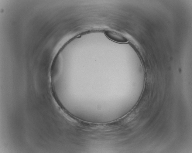 X0000074311287200609081933