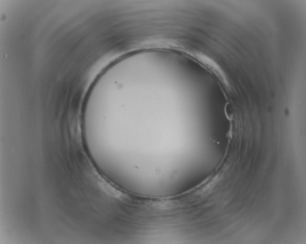 X0000074311288200609081933