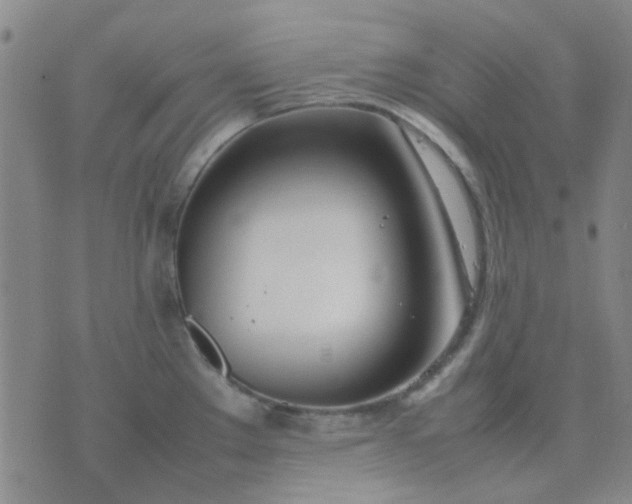 X0000074311289200609081933