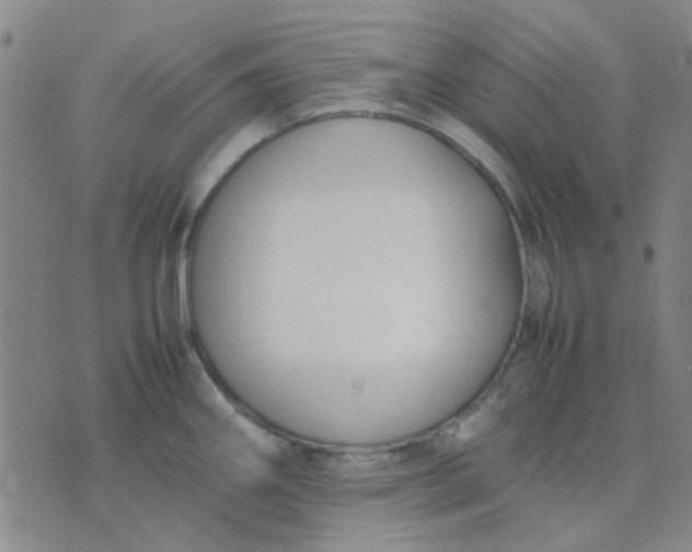 X0000074311290200609081933