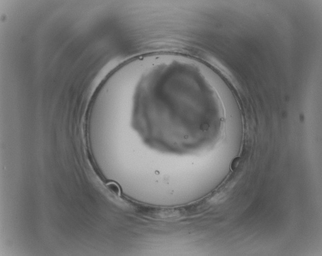 X0000074311291200609081933