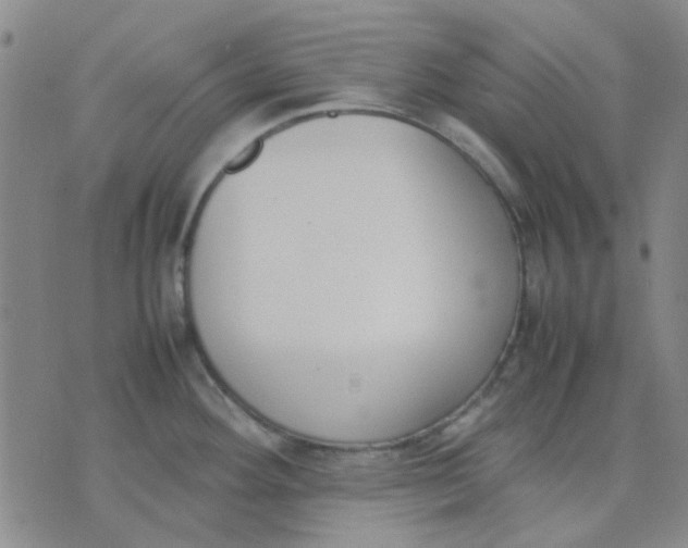 X0000074311292200609081933