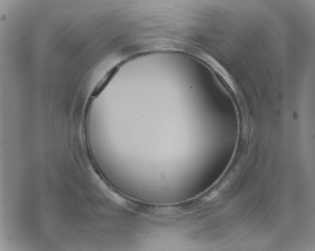 X0000074311293200609081933