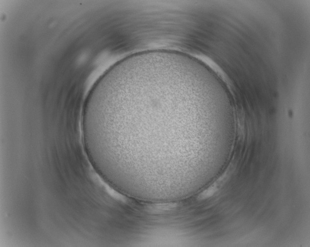 X0000074311294200609081933