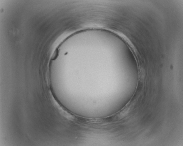 X0000074311295200609081933