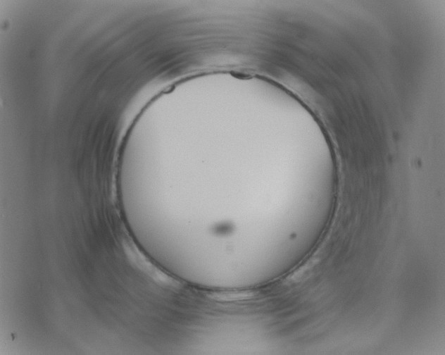 X0000074311296200609081933