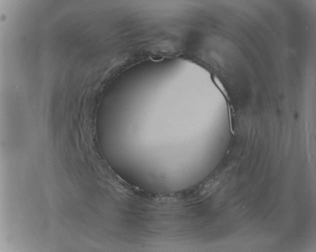 X0000074311297200609081932