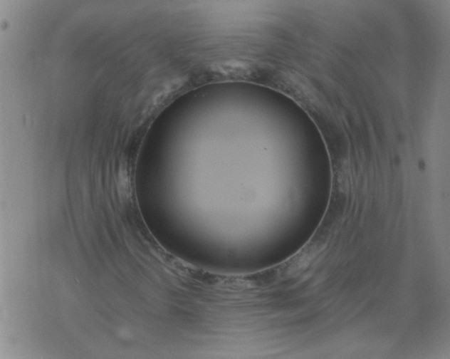 X0000074311298200609081932