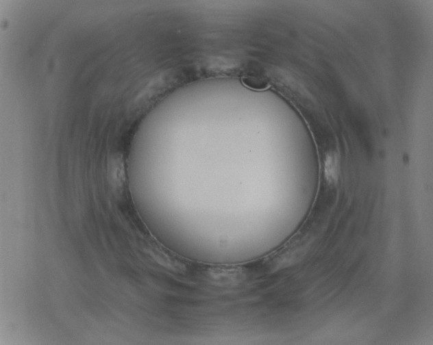 X0000074311299200609081932