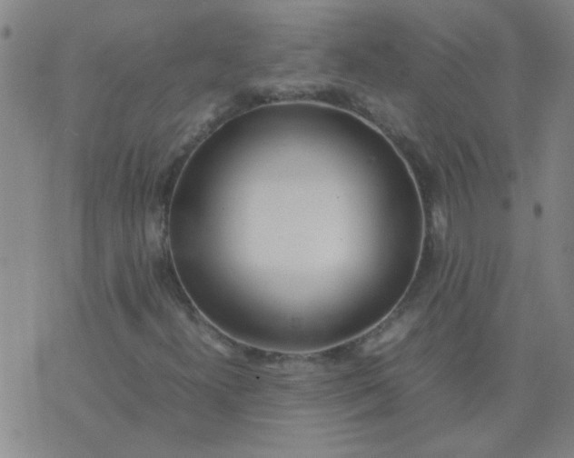 X0000074311300200609081932