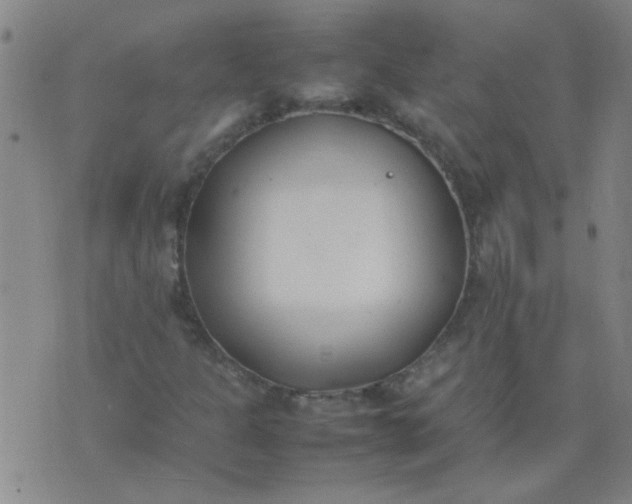 X0000074311301200609081932