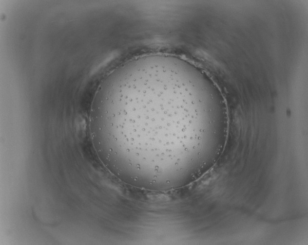 X0000074311302200609081932