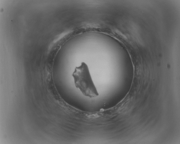 X0000074311303200609081932