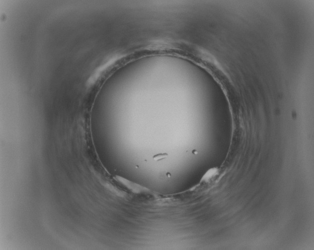 X0000074311304200609081932