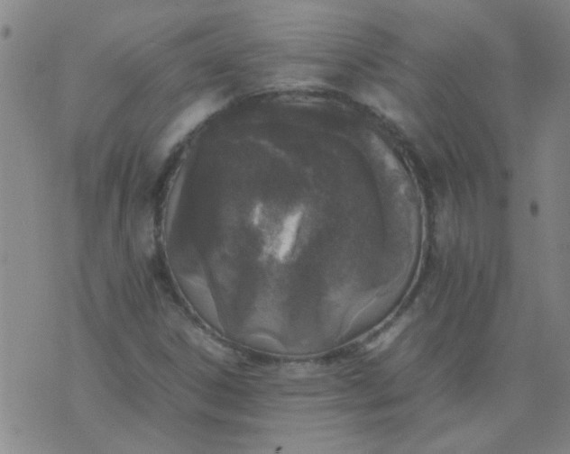 X0000074311306200609081932