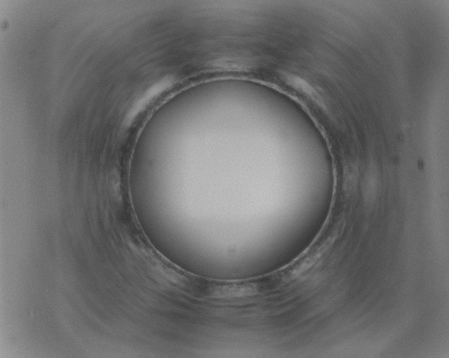 X0000074311307200609081932