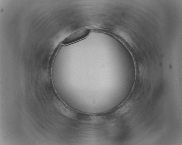 X0000074311308200609081932