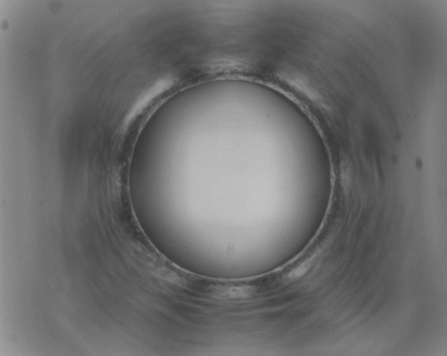 X0000074311309200609081932