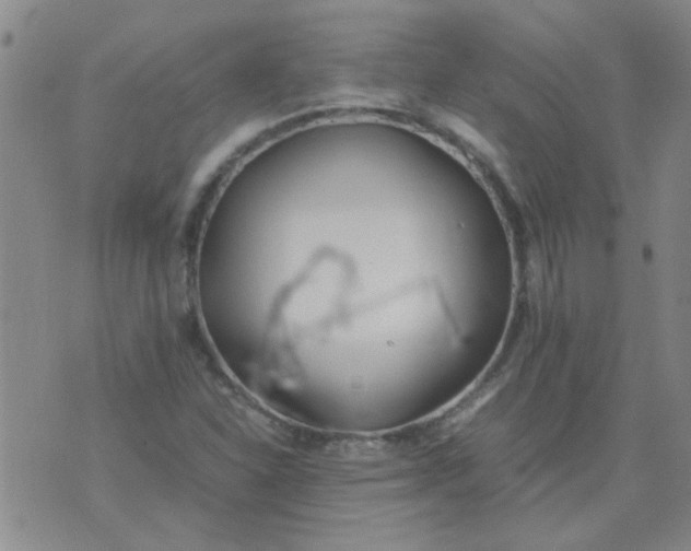 X0000074311310200609081932