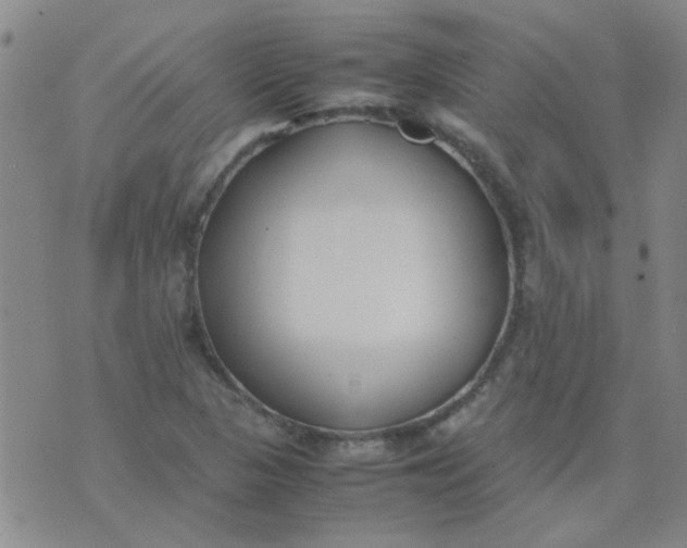 X0000074311313200609081932