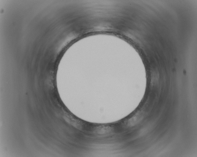 X0000074311314200609081932