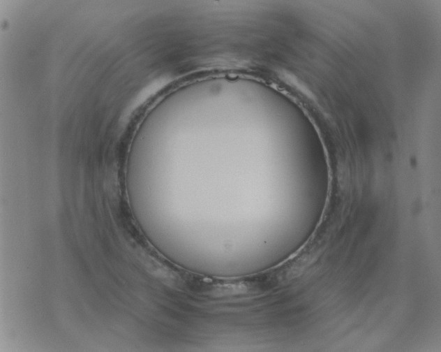 X0000074311315200609081932