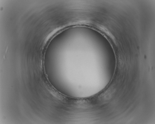 X0000074311316200609081932