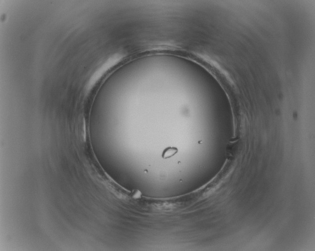 X0000074311317200609081932