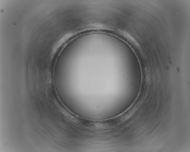 X0000074311318200609081932