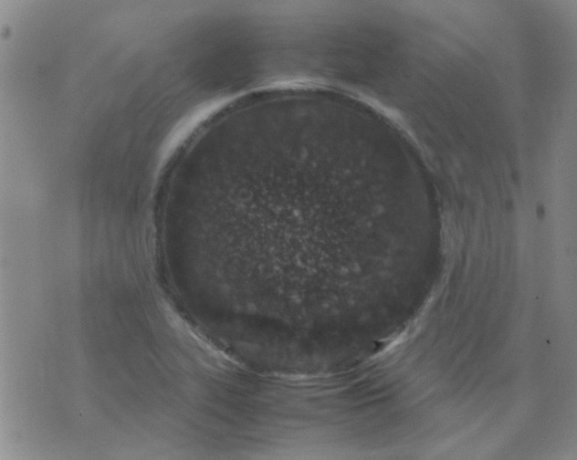 X0000074311319200609081932