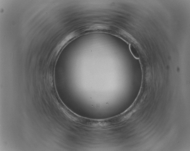 X0000074311321200609081932