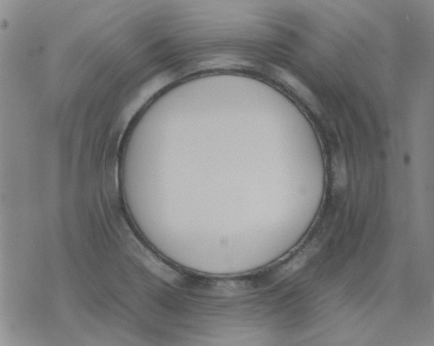 X0000074311322200609081932