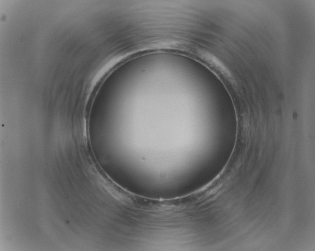 X0000074311324200609081932