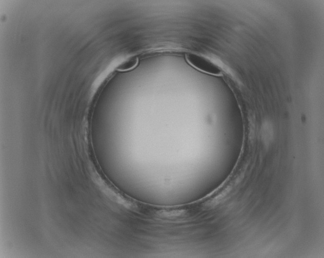 X0000074311325200609081932