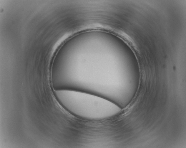 X0000074311326200609081932