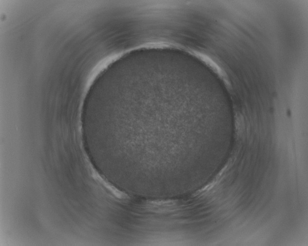 X0000074311327200609081932