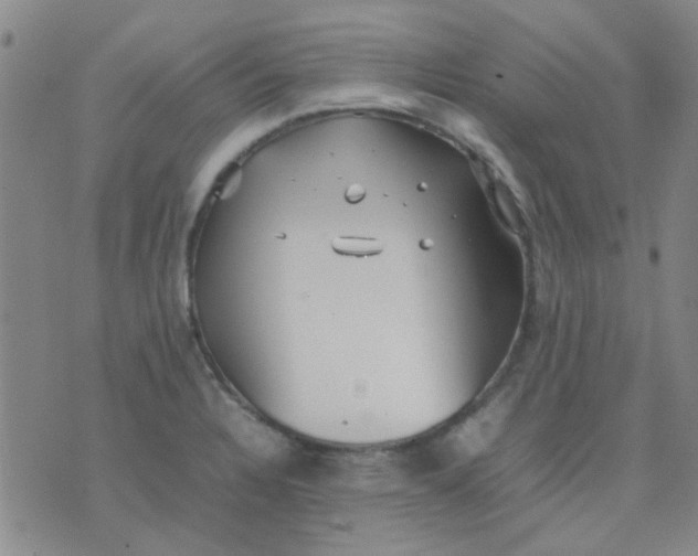 X0000074311328200609081932