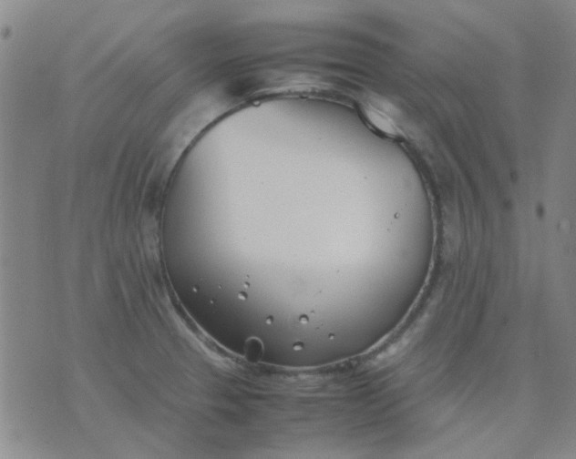 X0000074311329200609081932