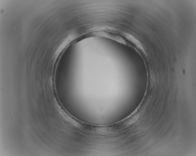 X0000074311330200609081932